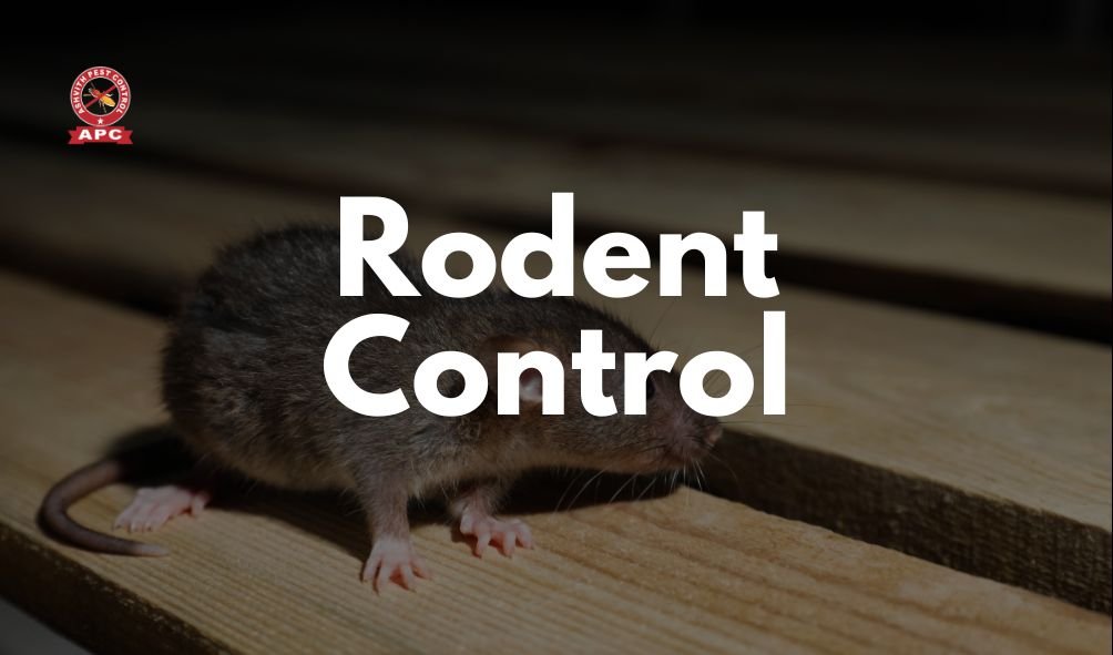 Rodent Control
