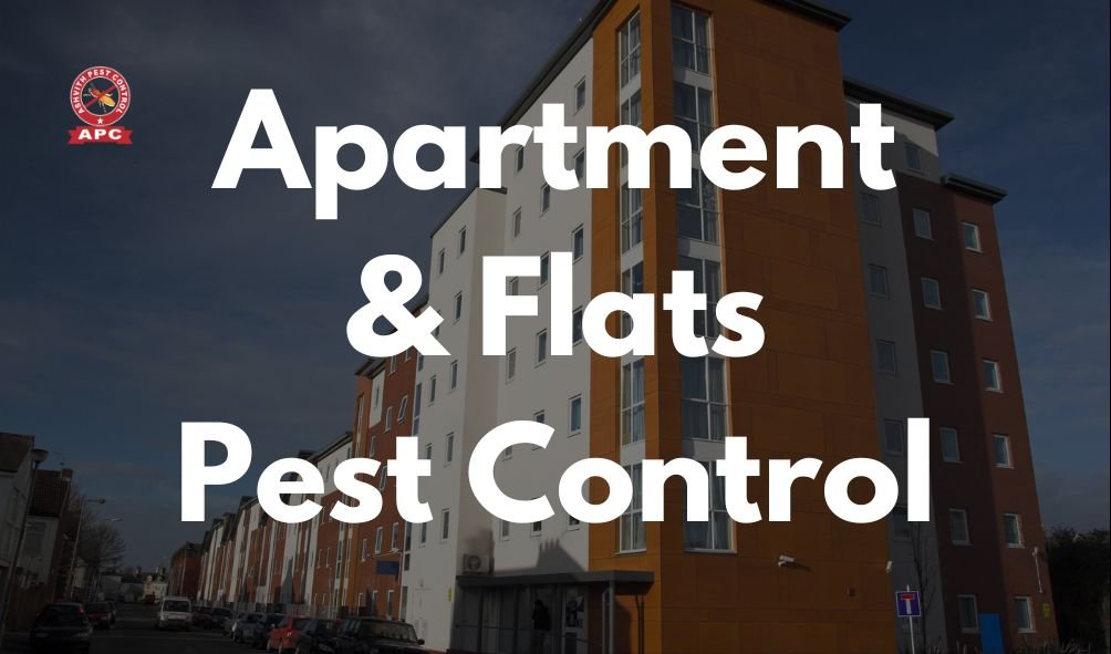 Apartment & Flats Pest Control