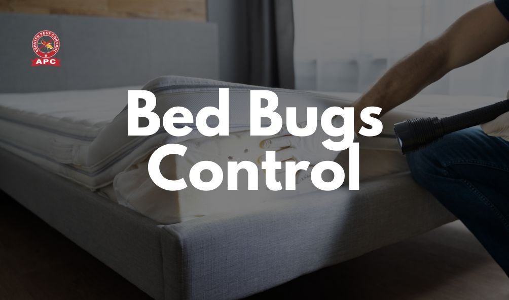 Bed Bugs Control