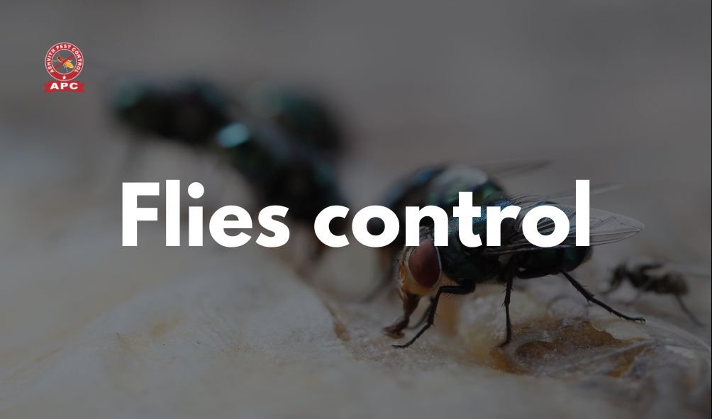 Flies control