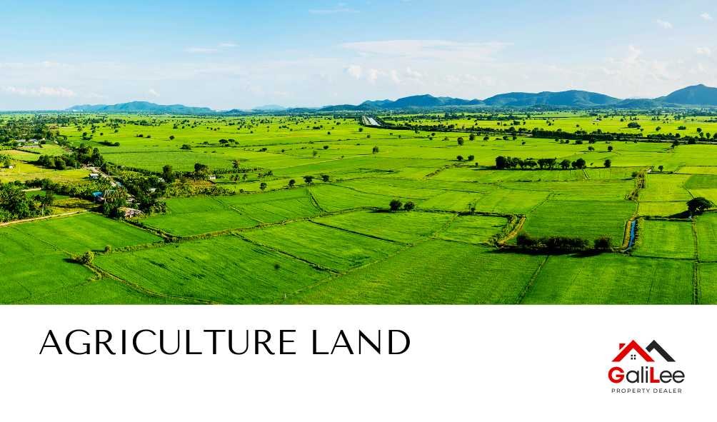Agriculture Land: